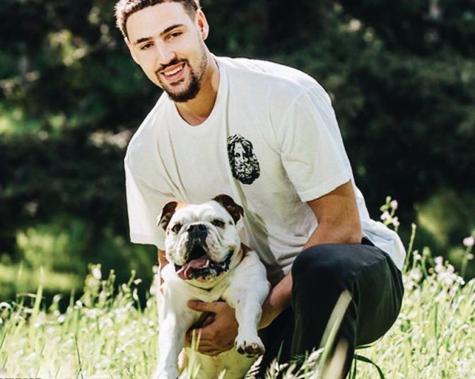 克莱痛失爱犬Rocco，13岁爱犬将接受安乐死