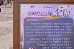 央视直播苏超赛事：18万球迷在线观看，热门梗引爆网络