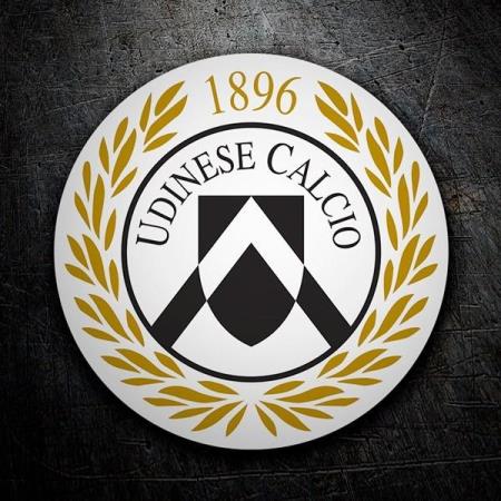 安莎：波佐家族1.5亿欧元将乌迪内斯转手给外国投资者